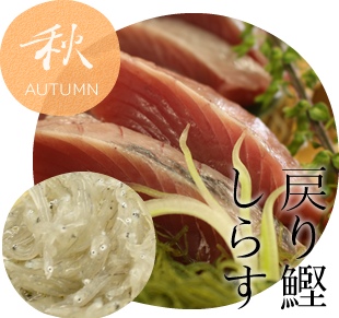 秋 戻り鰹・しらす