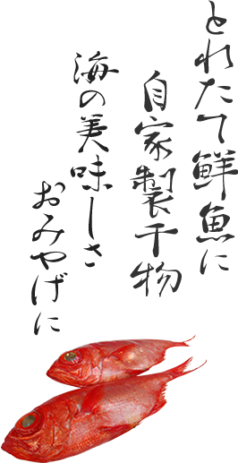 とりたて鮮魚に自家製干物 海の美味しさおみやげに