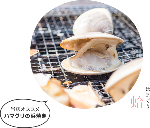 蛤（はまぐり）　当店オススメ！ハマグリの浜焼き