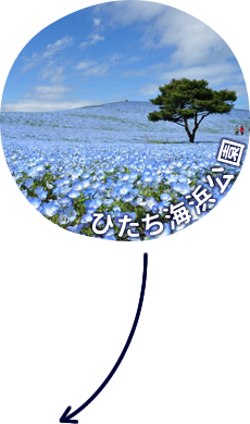 ひたち海浜公園